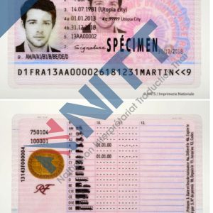 Permis de conduire français recto-verso (Nouveau format)